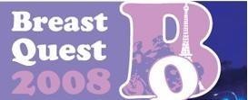 breastquest 2008 logo