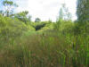 this is a picture of Wilford claypit